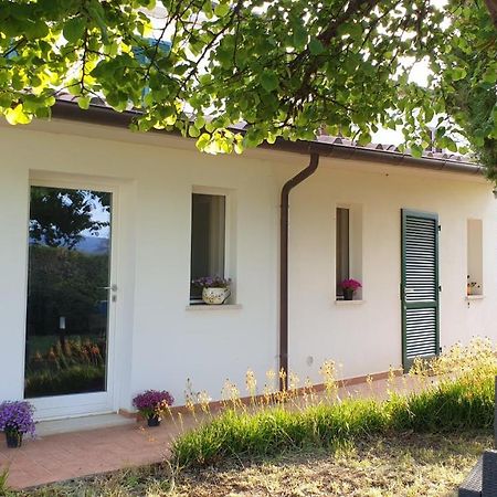 Agriturismo Podere Il Fitto Кампилья-Мариттима Экстерьер фото
